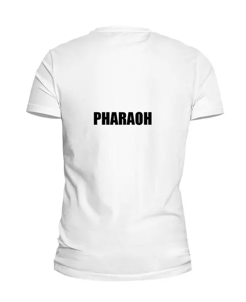 Заказать мужскую футболку в Москве. Футболка базовая Pharaoh от Ivan Gorshkov - готовые дизайны и нанесение принтов.