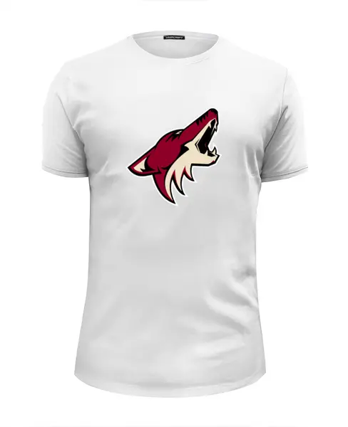 Заказать мужскую футболку в Москве. Футболка базовая  Arizona Coyotes от dobryidesign - готовые дизайны и нанесение принтов.