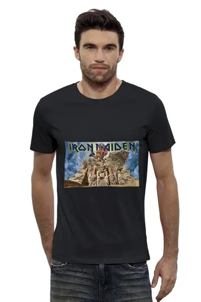 Заказать мужскую футболку в Москве. Футболка базовая Iron Maiden от Fedor - готовые дизайны и нанесение принтов.