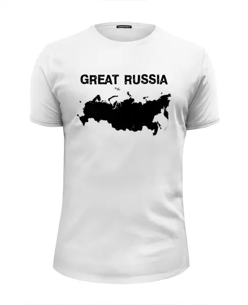 Заказать мужскую футболку в Москве. Футболка базовая Great Russia 12 от Great Russia - готовые дизайны и нанесение принтов.