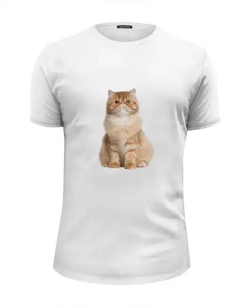 Заказать мужскую футболку в Москве. Футболка базовая котенок от THE_NISE  - готовые дизайны и нанесение принтов.