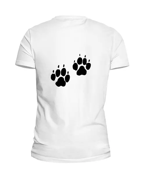 Заказать мужскую футболку в Москве. Футболка базовая Злой кот от kirkinpuzel666@yandex.ru - готовые дизайны и нанесение принтов.