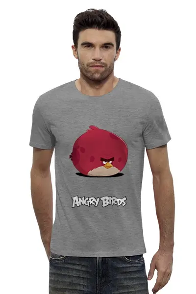 Заказать мужскую футболку в Москве. Футболка базовая angry birds от denis01001 - готовые дизайны и нанесение принтов.
