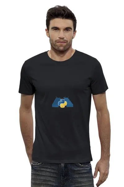 Заказать мужскую футболку в Москве. Футболка базовая SPb Python Classic Design Premium Man от SPb Python - готовые дизайны и нанесение принтов.