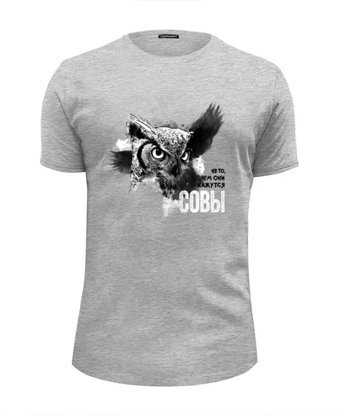 Заказать мужскую футболку в Москве. Футболка базовая "Совы не то, чем кажутся!" в загадочно-сером от Victor Zhizhin - готовые дизайны и нанесение принтов.