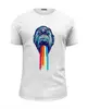 Заказать мужскую футболку в Москве. Футболка базовая обезьяна-радуга от DenTen - готовые дизайны и нанесение принтов.