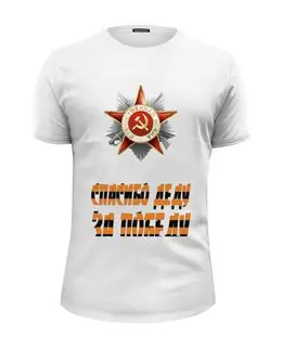 Заказать мужскую футболку в Москве. Футболка базовая спасибо деду за победу от ИНДИГО - готовые дизайны и нанесение принтов.