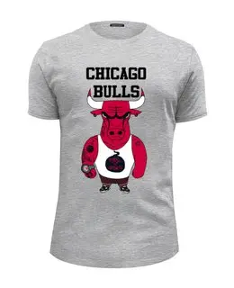 Заказать мужскую футболку в Москве. Футболка базовая Chicago Bulls от dizer - готовые дизайны и нанесение принтов.