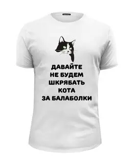 Заказать мужскую футболку в Москве. Футболка базовая Про кота от Александр Гришин - готовые дизайны и нанесение принтов.