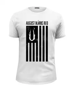 Заказать мужскую футболку в Москве. Футболка базовая August Burns Red от geekbox - готовые дизайны и нанесение принтов.