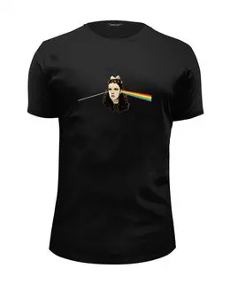 Заказать мужскую футболку в Москве. Футболка базовая Pink Floyd от dizer - готовые дизайны и нанесение принтов.