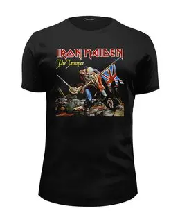 Заказать мужскую футболку в Москве. Футболка базовая Iron Maiden Band от Leichenwagen - готовые дизайны и нанесение принтов.