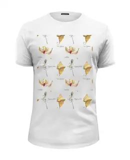 Заказать мужскую футболку в Москве. Футболка базовая орхидея,лист и колючка от okonit - готовые дизайны и нанесение принтов.