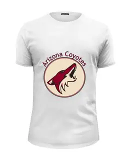 Заказать мужскую футболку в Москве. Футболка базовая Arizona Coyotes от kspsshop - готовые дизайны и нанесение принтов.