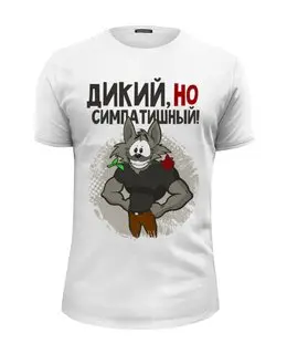 Заказать мужскую футболку в Москве. Футболка базовая Прикольчик  от T-shirt print  - готовые дизайны и нанесение принтов.