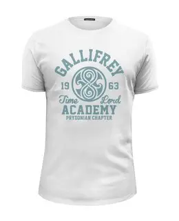 Заказать мужскую футболку в Москве. Футболка базовая Gallifrey Academy от geekbox - готовые дизайны и нанесение принтов.