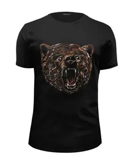 Заказать мужскую футболку в Москве. Футболка базовая Пёстрый медведь от ISliM - готовые дизайны и нанесение принтов.