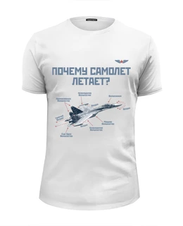 Заказать мужскую футболку в Москве. Футболка базовая Почему самолет летает? от Рустам Юсупов - готовые дизайны и нанесение принтов.
