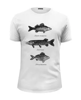 Заказать мужскую футболку в Москве. Футболка базовая Коллекция рыб от printik - готовые дизайны и нанесение принтов.