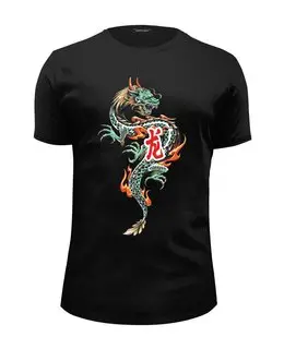 Заказать мужскую футболку в Москве. Футболка базовая Дракон от Amerikanka - готовые дизайны и нанесение принтов.