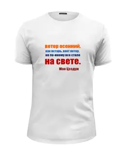 Заказать мужскую футболку в Москве. Футболка базовая Мао Цзэдун. Стихи от Виктор Гришин - готовые дизайны и нанесение принтов.