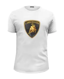 Заказать мужскую футболку в Москве. Футболка базовая Lamborgini  от DESIGNER   - готовые дизайны и нанесение принтов.