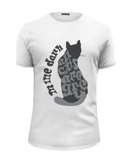 Заказать мужскую футболку в Москве. Футболка базовая Gray cat от frau - готовые дизайны и нанесение принтов.