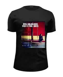 Заказать мужскую футболку в Москве. Футболка базовая Noel Gallagher's High Flying Birds от Денис - готовые дизайны и нанесение принтов.