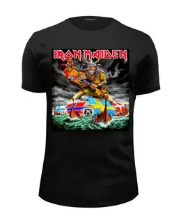 Заказать мужскую футболку в Москве. Футболка базовая Iron Maiden Band от Leichenwagen - готовые дизайны и нанесение принтов.