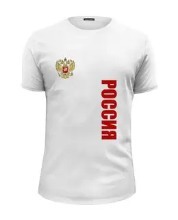 Заказать мужскую футболку в Москве. Футболка базовая Россия от THE_NISE  - готовые дизайны и нанесение принтов.
