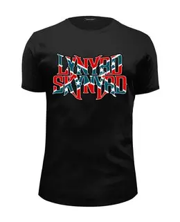 Заказать мужскую футболку в Москве. Футболка базовая Lynyrd Skynyrd от geekbox - готовые дизайны и нанесение принтов.