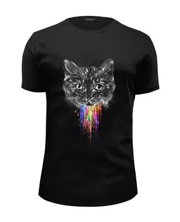 Заказать мужскую футболку в Москве. Футболка базовая Радужный кот от ISliM - готовые дизайны и нанесение принтов.