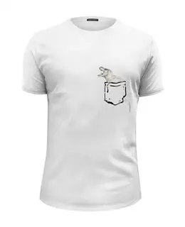 Заказать мужскую футболку в Москве. Футболка базовая Динозавр в кармане от Ксения Золотухина - готовые дизайны и нанесение принтов.