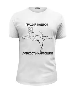 Заказать мужскую футболку в Москве. Футболка базовая Грация кошки  от angelabelokopytova@gmail.com - готовые дизайны и нанесение принтов.