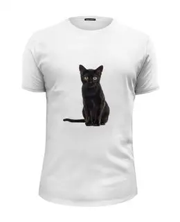 Заказать мужскую футболку в Москве. Футболка базовая Кошка от THE_NISE  - готовые дизайны и нанесение принтов.