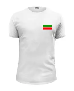 Заказать мужскую футболку в Москве. Футболка базовая Флаг Татарстана от Kibet  - готовые дизайны и нанесение принтов.
