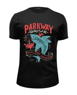 Заказать мужскую футболку в Москве. Футболка базовая Parkway Drive от geekbox - готовые дизайны и нанесение принтов.