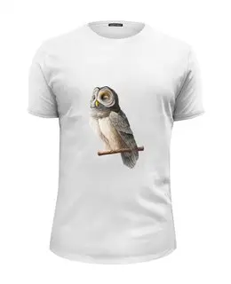 Заказать мужскую футболку в Москве. Футболка базовая Совушка от owl - готовые дизайны и нанесение принтов.