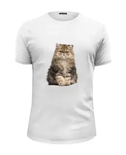 Заказать мужскую футболку в Москве. Футболка базовая котенок от THE_NISE  - готовые дизайны и нанесение принтов.