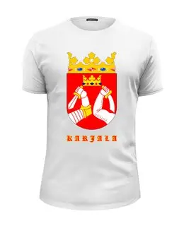 Заказать мужскую футболку в Москве. Футболка базовая Сортавала-Карелия от Виктор Касаткин - готовые дизайны и нанесение принтов.