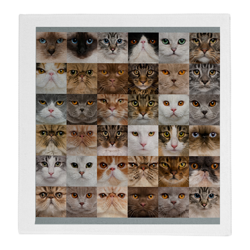Printio Полотенце 30×30 см Кошки. креатив printio полотенце 30×30 см кошки креатив