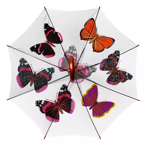 Заказать зонт в Москве. Зонт-трость двусторонний с деревянной ручкой Яркие бабочки от Alexey Evsyunin - готовые дизайны и нанесение принтов.