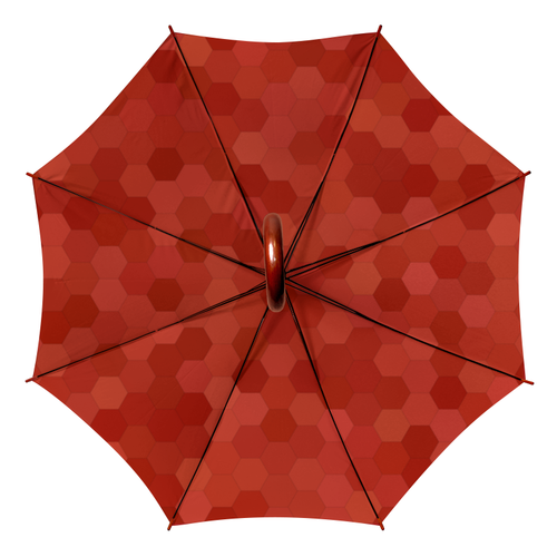 Заказать зонт в Москве. Зонт-трость двусторонний с деревянной ручкой Цветные соты от BeliySlon - готовые дизайны и нанесение принтов.