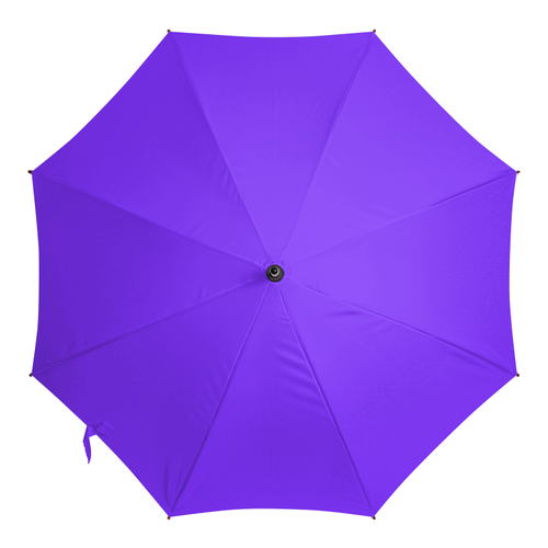 Заказать зонт в Москве. Зонт-трость двусторонний с деревянной ручкой Сливы от Лана  - готовые дизайны и нанесение принтов.