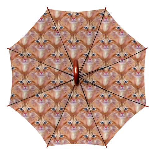 Заказать зонт в Москве. Зонт-трость двусторонний с деревянной ручкой Кошечки (1) от ПРИНТЫ ПЕЧАТЬ  - готовые дизайны и нанесение принтов.