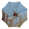 Заказать зонт в Москве. Зонт-трость двусторонний с деревянной ручкой Бабочка Махаон от ohana96@yandex.ru - готовые дизайны и нанесение принтов.