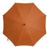 Заказать зонт в Москве. Зонт-трость двусторонний с деревянной ручкой Программный код от bd-art  - готовые дизайны и нанесение принтов.