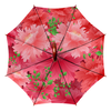 Заказать зонт в Москве. Зонт-трость двусторонний с деревянной ручкой Цветы от Ирина - готовые дизайны и нанесение принтов.