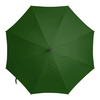 Заказать зонт в Москве. Зонт-трость двусторонний с деревянной ручкой зелёненький он был от mango3000 - готовые дизайны и нанесение принтов.