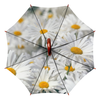 Заказать зонт в Москве. Зонт-трость двусторонний с деревянной ручкой Ромашки от valezar - готовые дизайны и нанесение принтов.